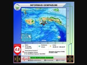 Gempa Magnitudo 4,6 Guncang Ambon