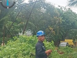 Cuaca Ekstrem Sebabkan Padam Listrik di Ambon, PLN Bergerak Cepat Lakukan Penormalan