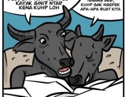 Kumpul Kebo Tak Lagi Aman: KUHP Baru Datang, Penjara 6 Bulan Menanti