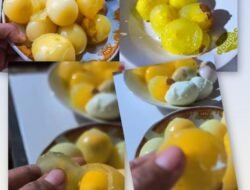 Sample Telur Diuji di Laboratorium Milik Dinkes Maluku