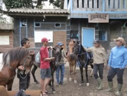 Kampung Koboi Tugu Selatan, Wujud Transformasi Desa Berbasis Potensi Lokal dalam Program Desa BRILiaN