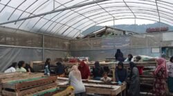 Perempuan Nasabah PNM Mekaar di Bandung Barat Kembangkan Usaha lewat Sinergi Ultra Mikro BRI