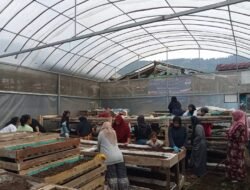 Perempuan Nasabah PNM Mekaar di Bandung Barat Kembangkan Usaha lewat Sinergi Ultra Mikro BRI