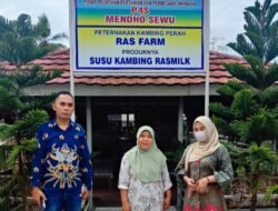 Berawal dari Satu Ekor Kini Tembus Seratus Ekor, UMKM Susu Kambing Ras Farm Tumbuh Pesat Berkat Dukungan KUR BRI