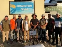 BULOG Cetak Rekor Sepanjang Sejarah, Stok Beras Tembus 5 Juta Ton
