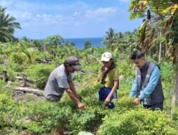 Di Tengah Bentang Kepulauan Talaud, Mantri BRI Hadir Menggerakkan Denyut Nadi Perekonomian