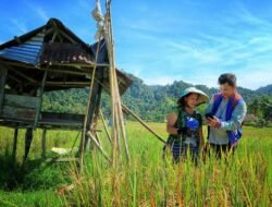 81 Tahun Indonesia Merdeka, Danantara dan BRI Menjangkau Pelosok Negeri dari Perbatasan Terdepan hingga Pulau Terluar
