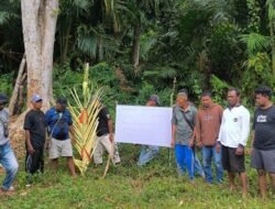 Warga Larat Segel Lokasi Tambang PT BBA