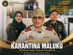 Maluku Siap Miliki Layanan Fumigasi Ekspor, Namun Masih Terkendala SDM dan Fasilitas