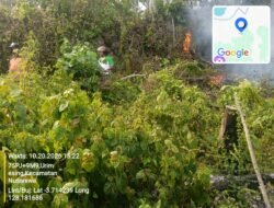 Karhutla Siwang Hanguskan 6 Hektare, Dinas Kehutanan Maluku Pantau 369 Hotspot
